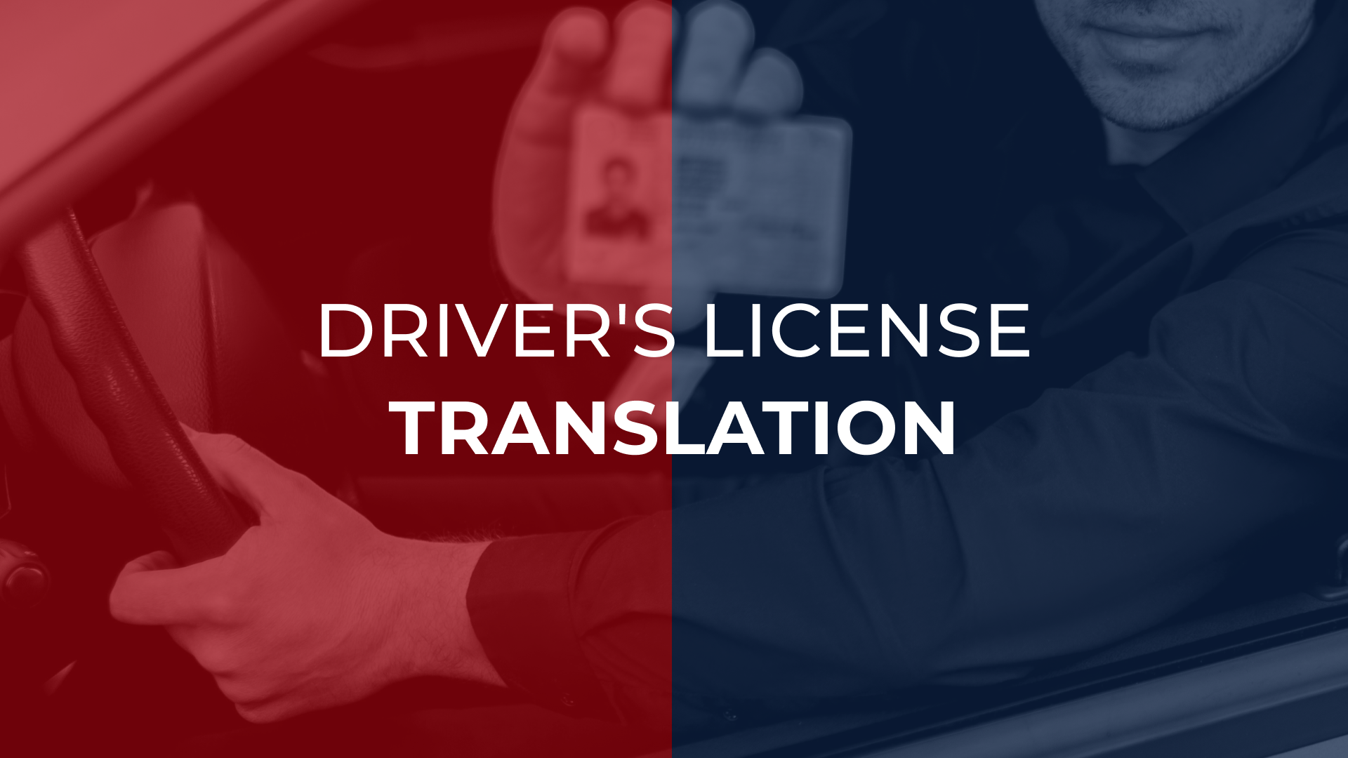 Driver's License Translation
